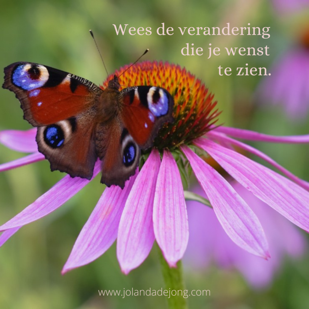 wees de verandering