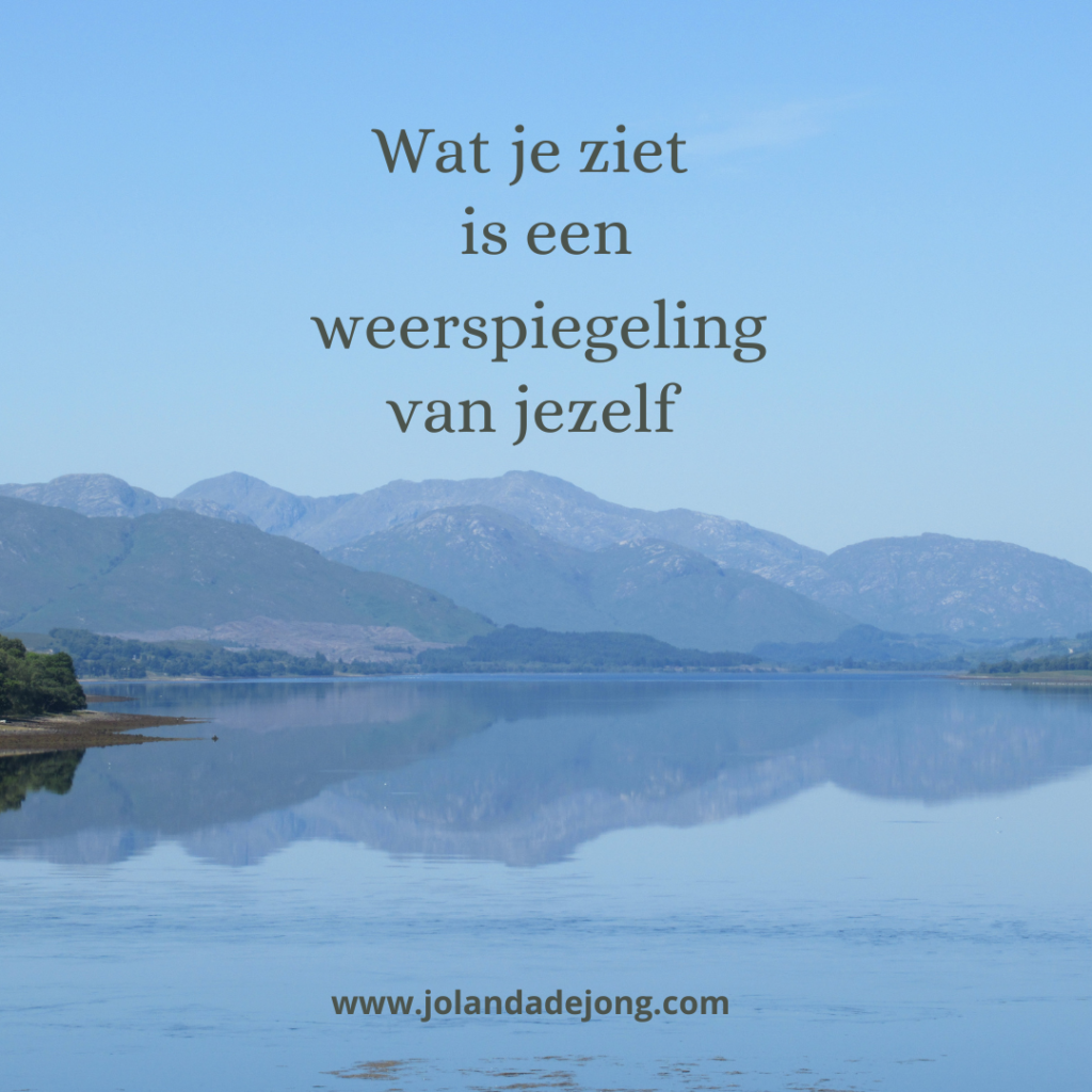 Wat je ziet(1)